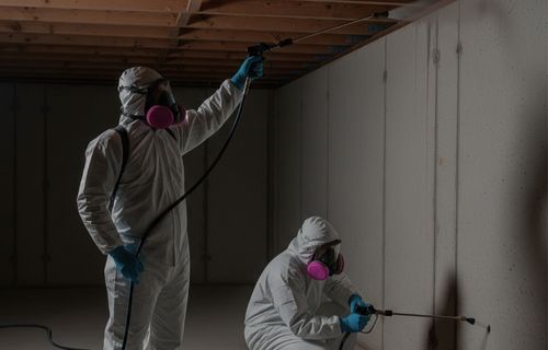 crawlspace mold removal in tulsa