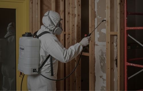 mold remediation services TULSA OK